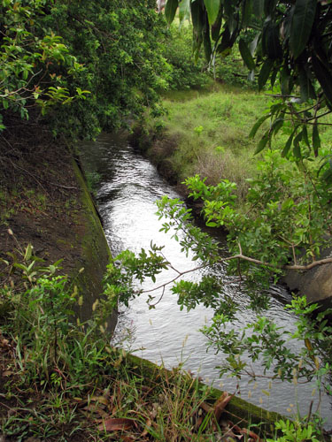 003 Old Flummin' the Ditch canal