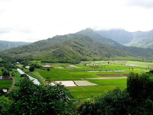 214 Hanalei Valley