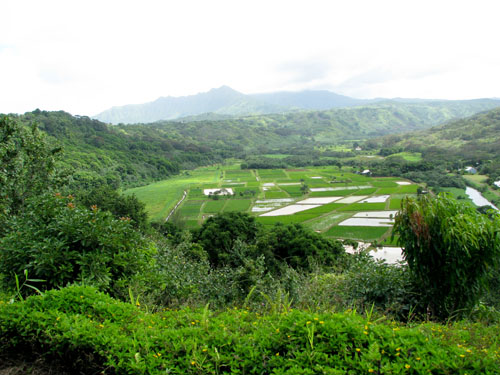 215 Hanalei Valley