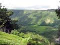 002 Waipio Valley