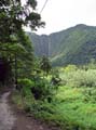 003 Road into Waipio Valley